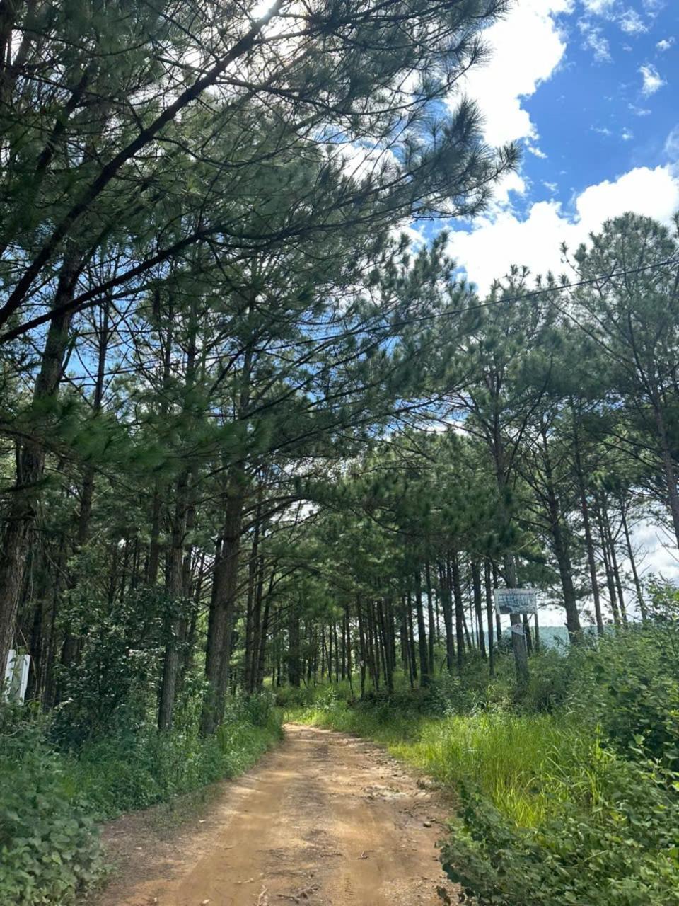 Coco 2 Hotel Dalat Luaran gambar